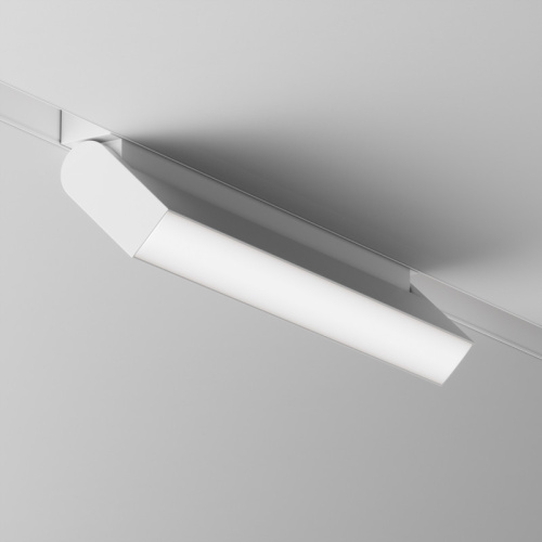 Светильник на шине Maytoni Technical TR075-2-20W4K-W