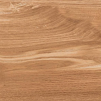 Керамогранит 610010002659 Rive Dolce Riva Lastra 20mm 60x60 фото
