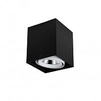 Накладной светильник Favourite 1987-1U фото