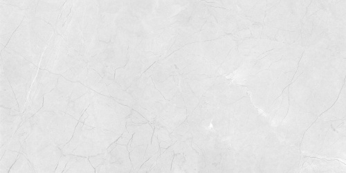 QUA Granite Mood Grey 120x60 серый полированная
