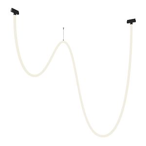 Светильник на шине Maytoni Technical TR101-2-100W4K-B фото