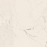 Керамогранит Lafaenza Ceramica Trex 60W RM White 60x60 фото