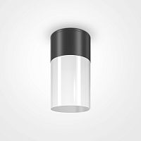 Потолочный светильник Outdoor O418CL-01B фото