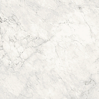 Керамогранит Lafaenza Ceramica Aesthetica AE CAL6 120 LP 120x120 фото