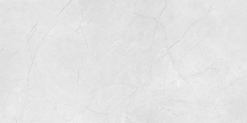 QUA Granite Mood Grey 120x60 серый полированная фото 3