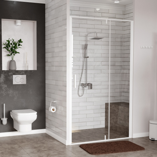 Wasserkraft Neime 19P05 Душевая дверь фото 2