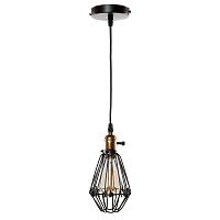 Подвесной светильник LOFT IT LOFT2009/1 фото