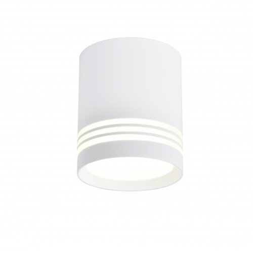 Накладной светильник Favourite 3065-1C