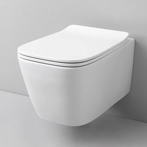 Artceram A16  Унитаз подвесной безободковый 36х52 см, с креплениями,  цвет: белый матовый фото