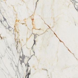Керамогранит Ariana PF60009346 Epoque 21 Arabescato Ant Ret 60x60 фото