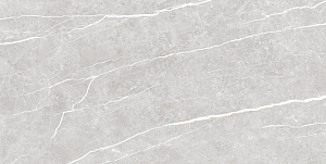 Керамогранит TAU Ceramica Elite Silver Pul 60x120 фото