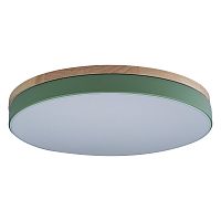 Детский светильник LOFT IT 10001/36 Green фото