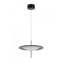 Подвесной светильник Odeon Light 5012/16L фото