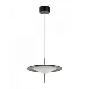 Подвесной светильник Odeon Light 5012/16L фото