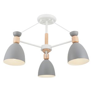 Потолочный светильник Freya FR5033CL-03W фото