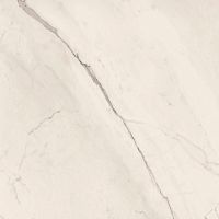 Керамогранит Lafaenza Ceramica Trex 120W LP White 120x120 фото