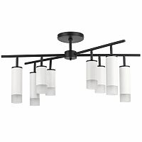 Люстра на штанге Lightstar LR7283648641 фото