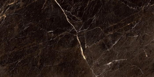 Глазурованный керамогранит YURTBAY Java PLSH Brown P10854.6 60х120