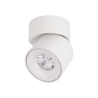 Накладной светильник LOFT IT 10180 White фото