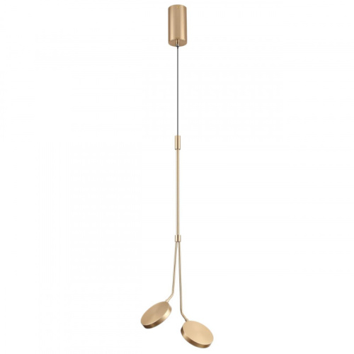 Подвесной светильник Odeon Light 5011/16L