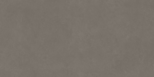 BIEN Concept Grey 120x60 серый матовая фото 3