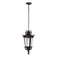 Подвесной уличный светильник LOFT IT 100003P фото
