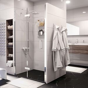 Wasserkraft Aller 10H05LWHITE Душевая дверь фото