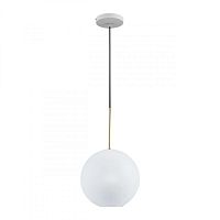 Подвесной светильник LOFT IT 2030-P1 фото