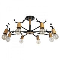 Люстра на штанге LOFT IT 10024/8 Black фото