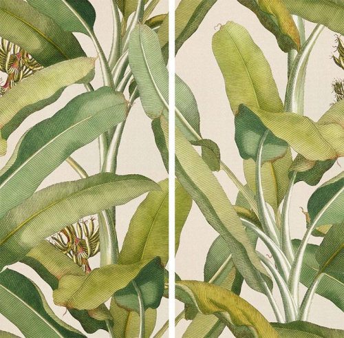 Керамогранит 41ZERO42 Paper41 Pro 4100336 Musa 50х100