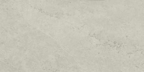 Керамогранит 610010002628 Metropolis Absolut Silver Nat Rett 60x120