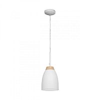 Подвесной светильник LOFT IT LOFT4402A-WH фото