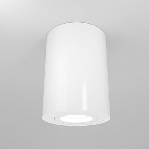 Потолочный светильник Maytoni Technical C016CL-01W фото