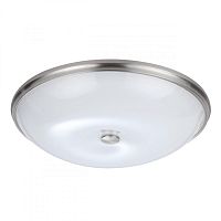 Накладной светильник Odeon Light 4957/6 фото