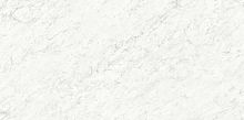 Керамогранит Ariostea Marmi Classici PL612555 Bianco Carrara Lucidato ret 60x120 фото
