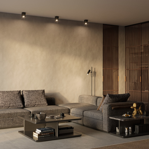 Потолочный светильник Maytoni Technical C017CL-01B фото 5