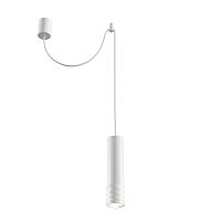 Подвесной светильник Maytoni Technical P025PL-01W фото