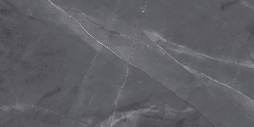 QUA Granite Space Anthracite 120x60 серый полированная фото 7
