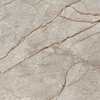 Керамогранит 610010002194 Empire Silver Root 60x60 фото