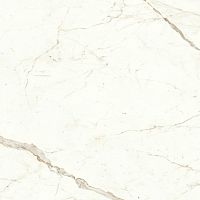 Керамогранит Atlas Concorde A5TD Marvel Calacatta Prestigio Silk 60x60 фото