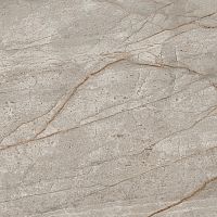 Керамогранит 610015000625 Empire Silver Root Lapp 60x60 фото