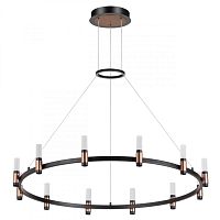 Подвесная люстра Odeon Light 5009/48L фото