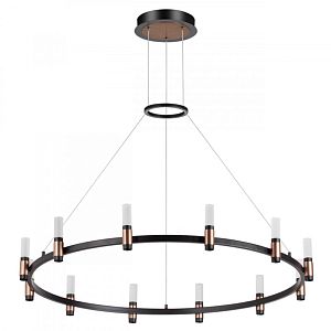 Подвесная люстра Odeon Light 5009/48L фото