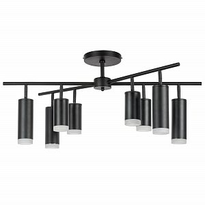 Люстра на штанге Lightstar LR7283748740 фото