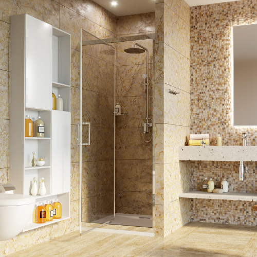 Wasserkraft Salm 27I04 Душевая дверь фото 2