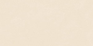 Керамогранит 41ZERO42 Nok 4101215 Ivory 60х120 фото