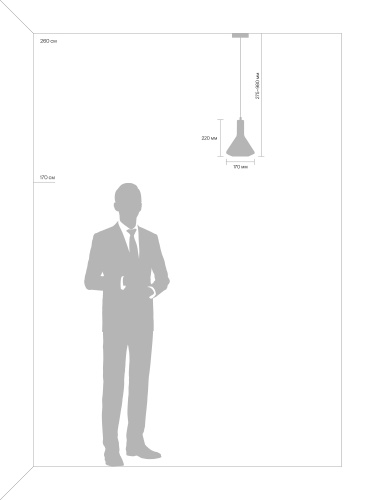 Подвесной светильник Freya FR8010PL-01GB фото 6