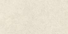 Керамогранит 610010002348 Metropolis Royal Ivory Nat Rett 60x120 фото
