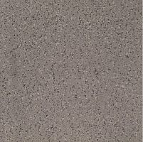 Керамогранит Imola Ceramica Parade PRDE 60G LV 60x60 фото