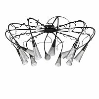 Накладная люстра Lightstar 711127 фото